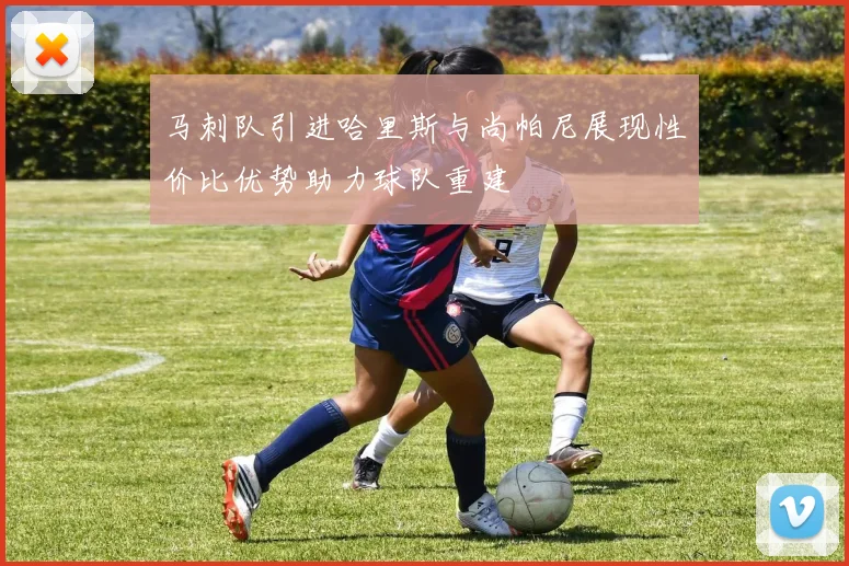 马刺队引进哈里斯与尚帕尼展现性价比优势助力球队重建