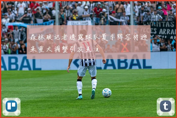 森林狼记者透露球队夏季阵容将迎来重大调整引发关注